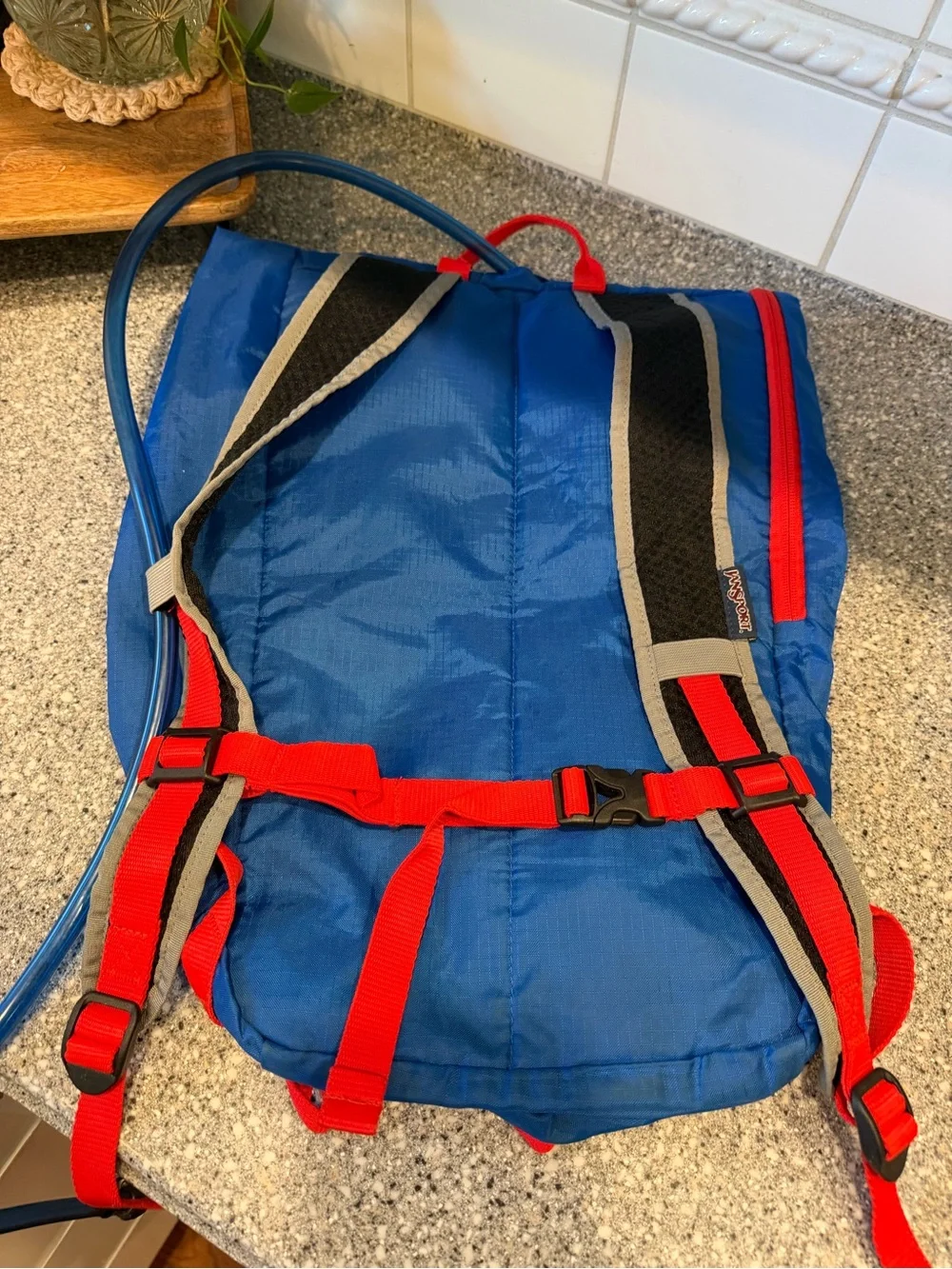 Jansport Blue Backpack with Red Accents and Hydration Bladder